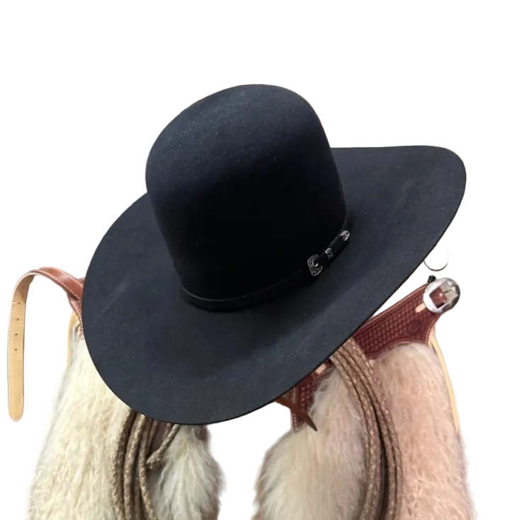 RODEO KING 100X OPEN CROWN
