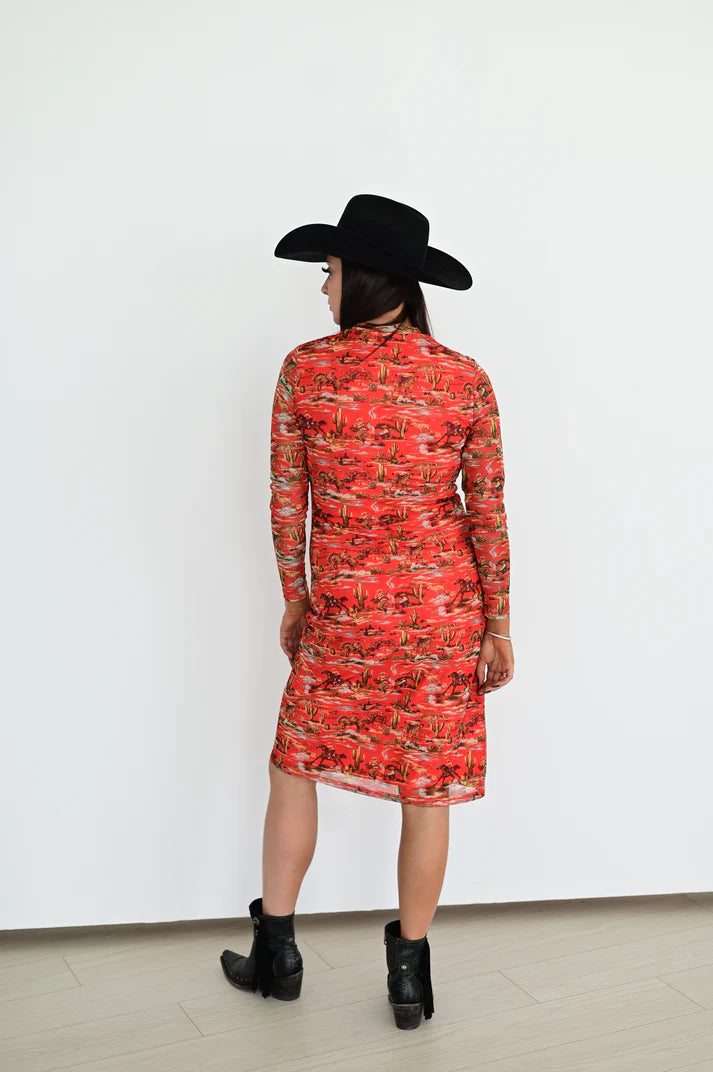 Western Mesh Dress